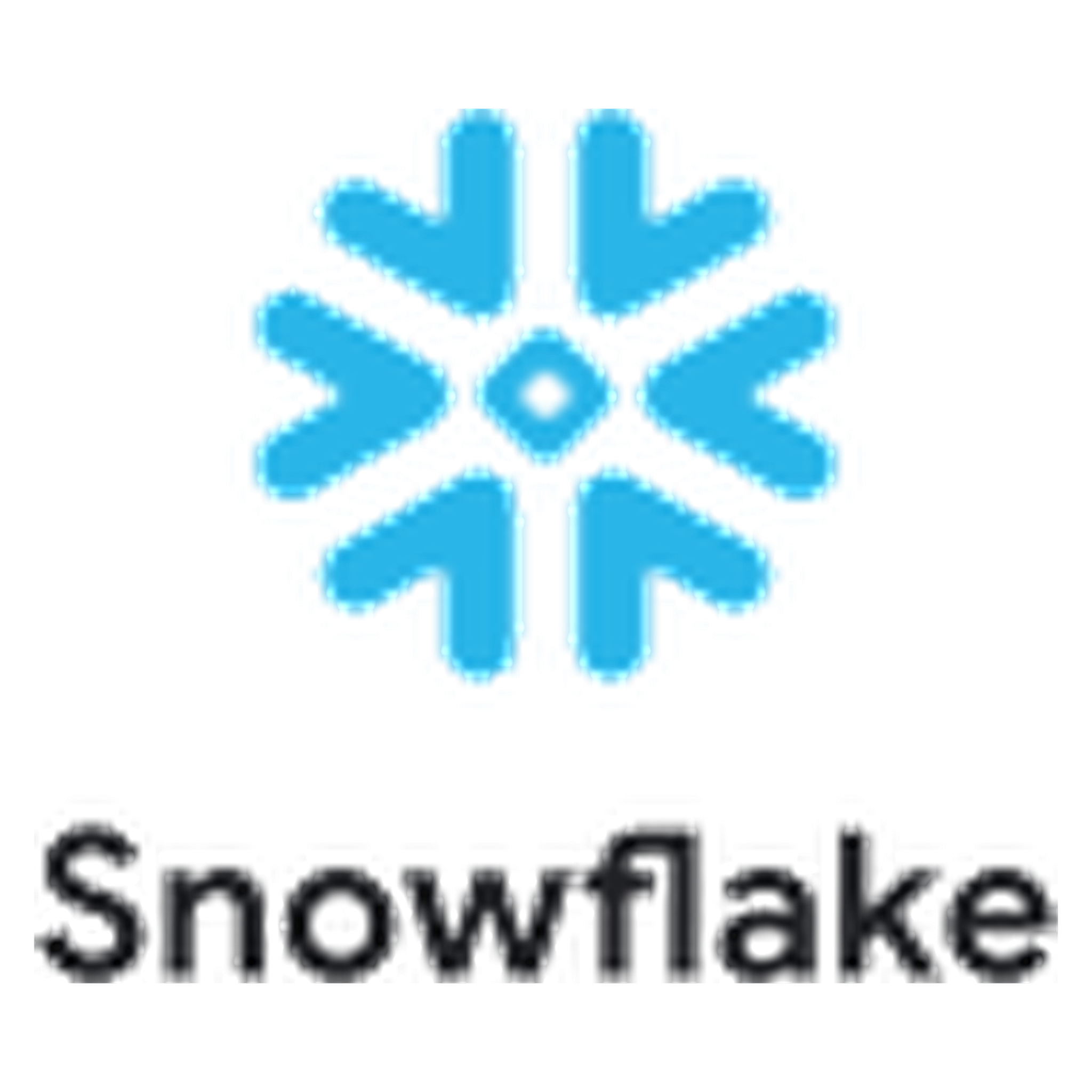 snowflake-2x